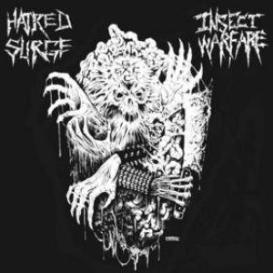 INSECT WARFARE / HATRED SURGE