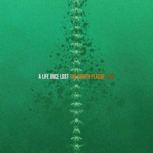 The Fourth Plague: Flies