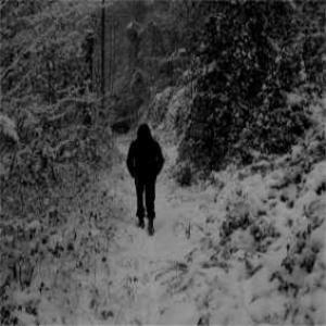 Four Seasons To A Depression