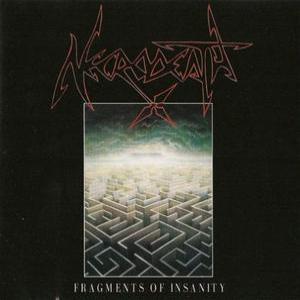 Fragments Of Insanity