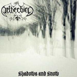 Shadows And Snow