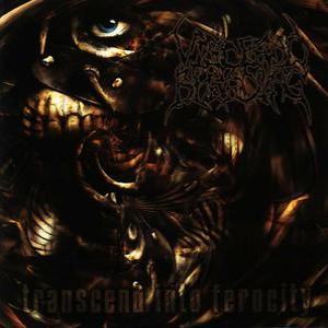 Transcend Into Ferocity