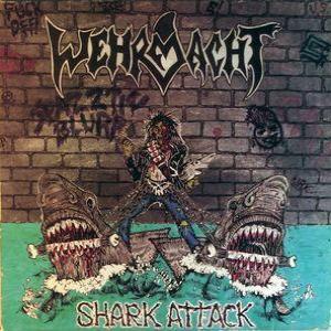 Shark Attack